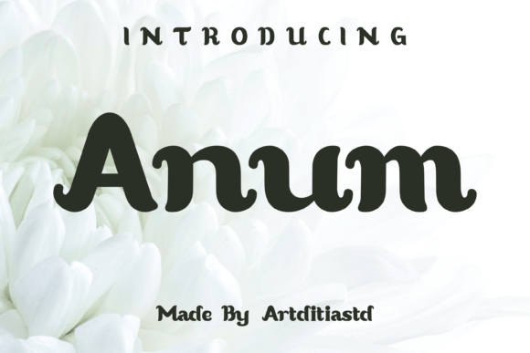 Anum Font: A Sweet and Friendly Script for Campaign Design