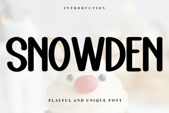 Snowden Font Review: A Strategic Asset for Campaign Design