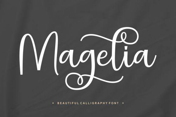 Using Magelia in Digital Design Projects